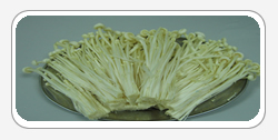 Flammulina