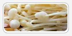 Flammulina